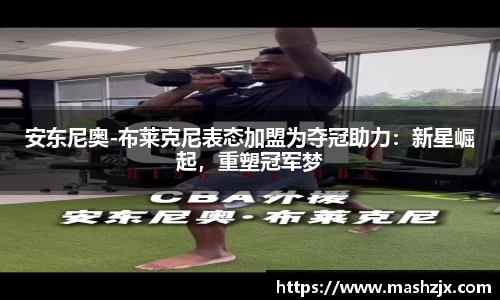 必一运动B-Sports
