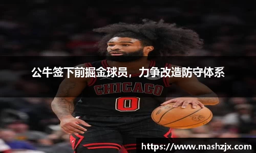 公牛签下前掘金球员，力争改造防守体系